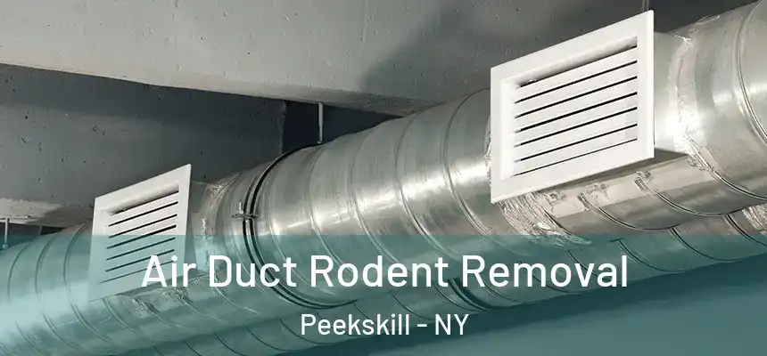 Air Duct Rodent Removal Peekskill - NY