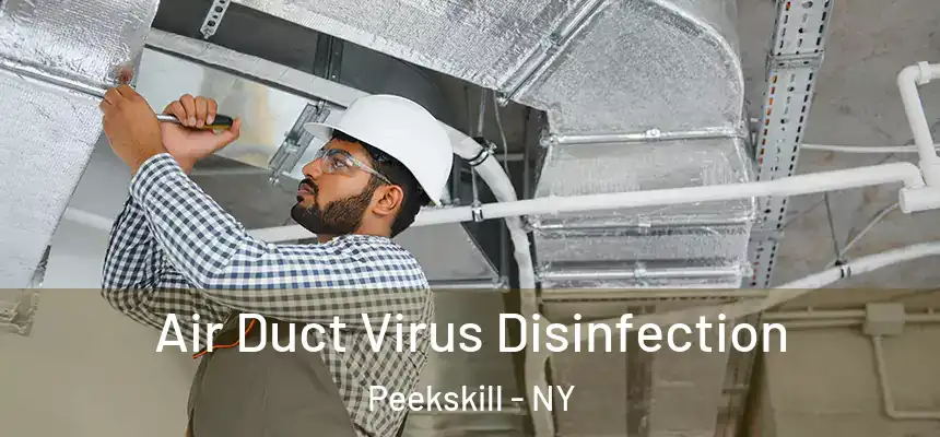  Air Duct Virus Disinfection Peekskill - NY