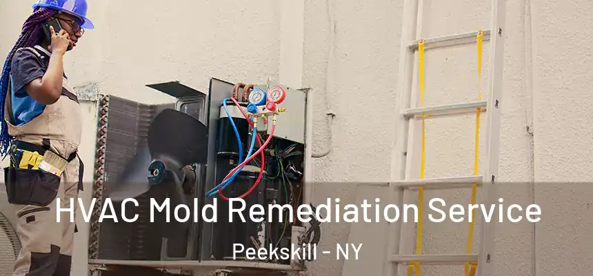 HVAC Mold Remediation Service Peekskill - NY