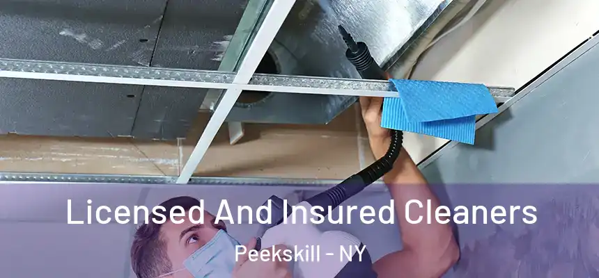  Licensed And Insured Cleaners Peekskill - NY