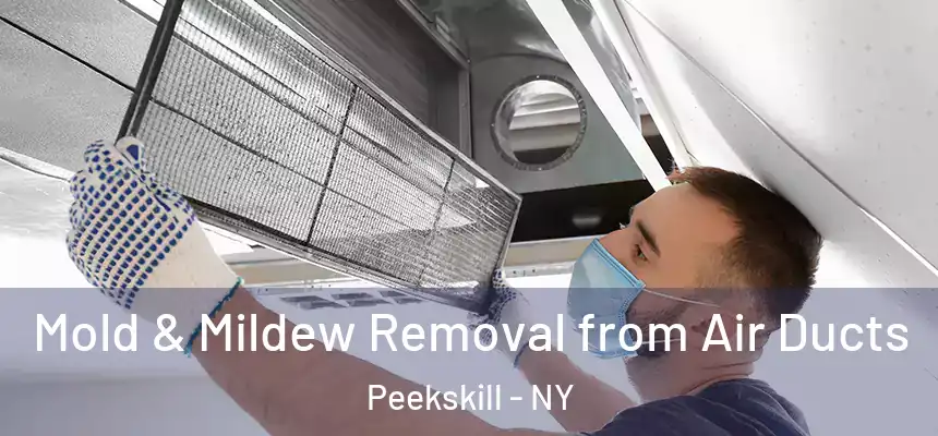 Mold & Mildew Removal from Air Ducts Peekskill - NY