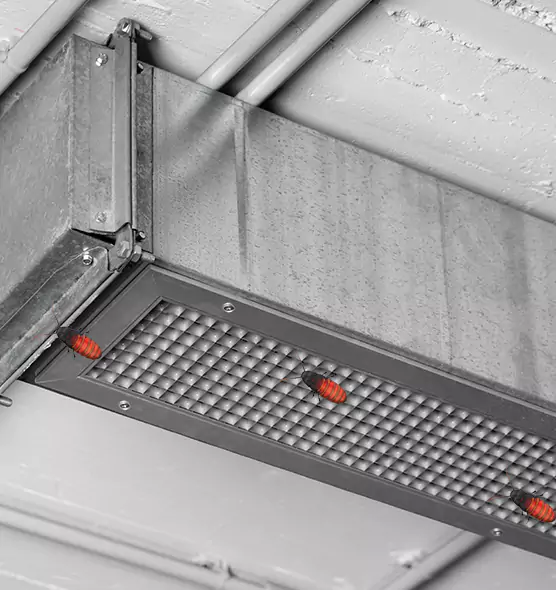 Affordable Insect Removal from Air Ducts in Peekskill, NY