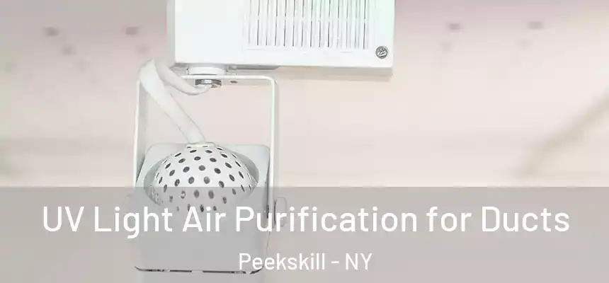 UV Light Air Purification for Ducts Peekskill - NY